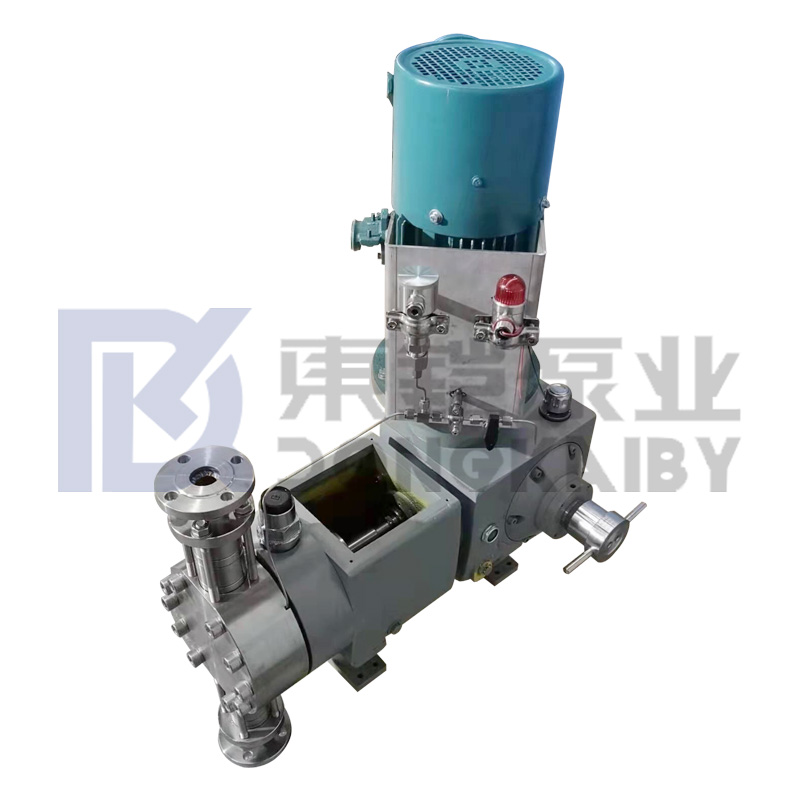 High Capacity Hydraulic Diaphragm Pumps para sa Pagproseso ng Kemikal