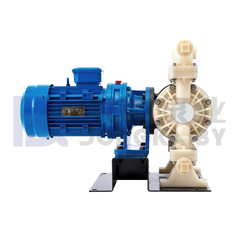 Mga Plastic Electric Diaphragm Pump