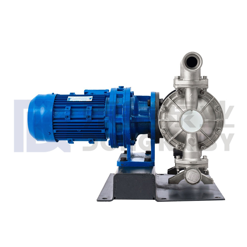 Hindi kinakalawang na asero Electric Diaphragm Pump